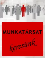 Állásajánlat